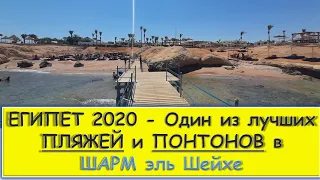 ЕГИПЕТ МОРЕ 2020 / ПЛЯЖ и РИФ отеля Otium Family Amphoras Beach Resort / пляж SHORES AMPHORAS / Шарм