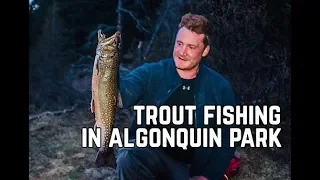 Algonquin Park Spring Brook Trout Fishing Trip With My Self Reliance & Ted Baird Pt. 1