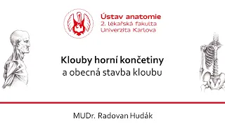 Klouby horní končetiny