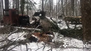 ТДТ-55. Работа в лесу.