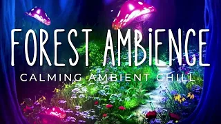 Ambient Chill, Mushrooms in Beautiful Forest, Relaxation, Meditation, Music for Sleeping 🎵