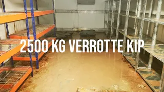 2500 kg of rotten chicken meat (EN subs) | Vlog 25 | Frisse Kater