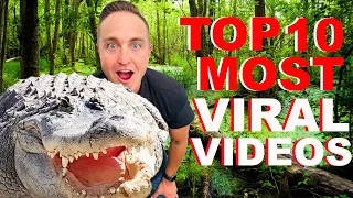 Shocking Most Viral Alligator Videos Of 2023!!!