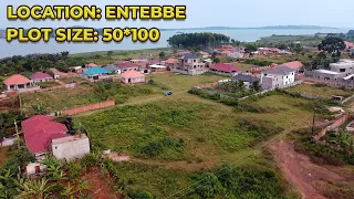 HOT SELLING TITLED 50 x100ft PLOTS OF LAND FOR SALE IN ENTEBBE IN A DEVELOPED ESTATE WITH A LAKEVIEW