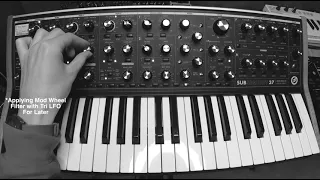 How To Recreate Pink Floyd's "On The Run" on The Moog Subsequent 37 (& Pretty Much Any Other Synth)