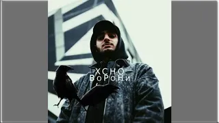 Вороны  Трек – Xcho   Текст песни