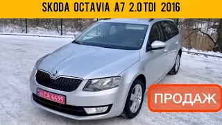 SKODA OCTAVIA A7 2.0 TDI та VOLKSWAGEN PASSAT 1.6 TDI нові надходження авто