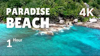 The Perfect Paradise Beach Scene in 4K White Sand, Blue Water & Waves