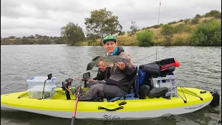 HOW TO CATCH MORE MURRAY COD ON YOUR KAYAK