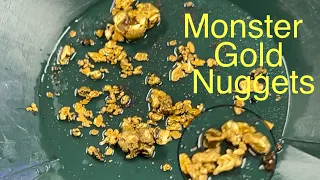 Gold nuggets everywhere Part 2 #grassrootsmining