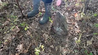 Lost Cemetery Discovered In The Woods Of Georgia! (Ghost Town Exploring)