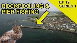 Surprise Fish Capture When Rockpooling in Seahouses: Chasing Scales Species Hunt  (EPISODE 12)