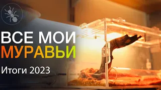 ВСЕ МУРАВЬИ в ОДНОМ ВИДЕО! МУРАВЬИНЫЕ НОВОСТИ и ИТОГИ 2023!