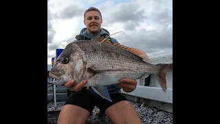 Sunrise Port Stephens Snapper