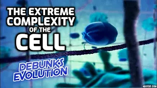 The Extreme Complexity of the Cell Debunks Evolution