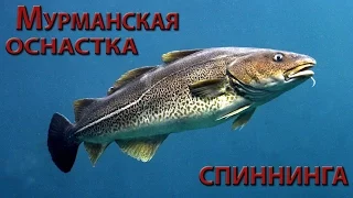 Мурманская снасть