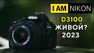 Nikon D3100 Обзор в 2023 Пойдет?