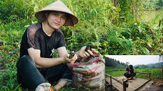 Wetland delicacies hidden for many years, poured concrete yard for bamboo house