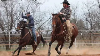 Lot 25 — Cowboys MsRey  0A65 — Consigned by McCartney Ranch Co.