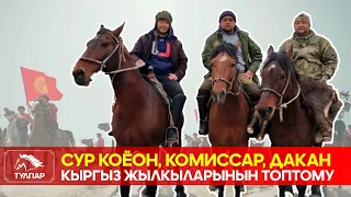Тулпар: Сур коёон, Комиссар, Дакан кыргыз жылкылары