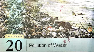 DAV Class 8 Science - Pollution of Water (Part 2)