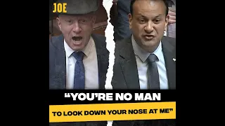 Leo Varadkar and Michael Healy-Rae have heated exchange in the Dáil