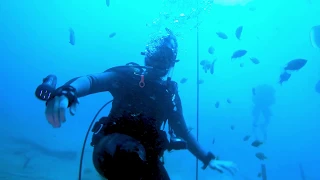 Scuba Diving The Blue Grotto In Spring Country - Williston, Florida