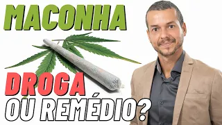 FUMAR MACONHA FAZ MAL? Os efeitos da maconha na saúde