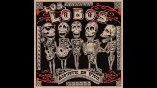 Los Lobos - Colas