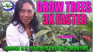 HOW TO GROW TREES 3 TIMES FASTER / Let Me Show You How!