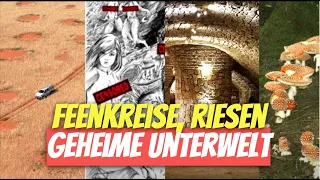 Feenkreise, Riesen, Samadhis, Geheime Unterwelt (Dr. Heinrich Kusch)