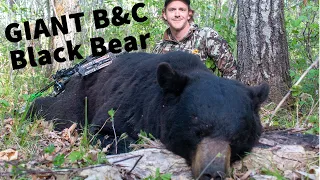 GIANT Manitoba Boone and Crockett Black Bear!!!