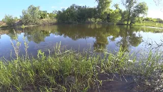 РЫБАЛКА НА ПОПЛАВОК, БЕШЕНЫЙ ОЗЁРНЫЙ КАРАСЬ, удачное место для ловли и отличная погода