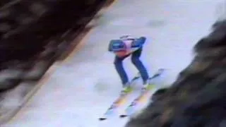 Staffan Taellberg - 139.0 m - Vikersund 1990