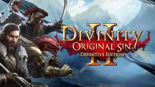 Начало. Divinity Original Sin 2 глазами новичков!