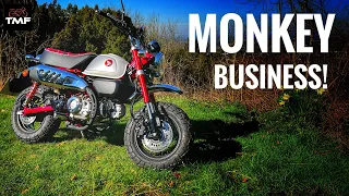 Ultimate City Bike? Honda Monkey First Ride Review