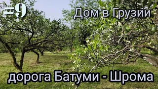 #9 Дом в Грузии. Дорога Батуми - Шрома