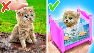 I Built a Miniature Room For My Kitten 😻 *Best Hacks for Pet Owners*