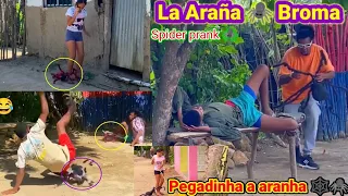 La araña broma / pegadinha a aranha / spider prank