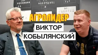 Виктор Кобылянский. Рынок земли в Украине. Ведущий адвокат по земельным вопросам.