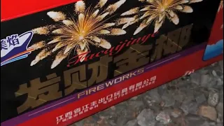 1.2" Inch 100 Shots Gold Coconut Tree Fireworks Cake 2023