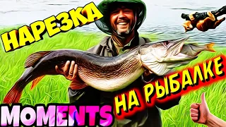 Необычные случаи на рыбалке/Неожиданная рыбалка/Трофейная рыбалка 2021/ВЕСЁЛАЯ РЫБАЛКА/