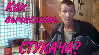 Как вычислить стукача.