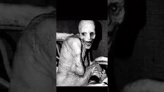 Russian sleep experiment