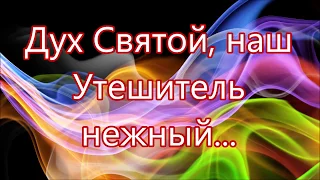 Дух Святой наш Утешитель нежный/// на Троицу