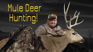 Hunter’s choice trophy hunt! Eastmans’ subscriber hunting Montana deer