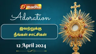 🔴 LIVE 12 April 2024 Adoration 11:00 AM | Madha TV