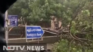 Cyclone Vardah: Trees Uprooted in Chennai, Wind Speed At 150 km/hour