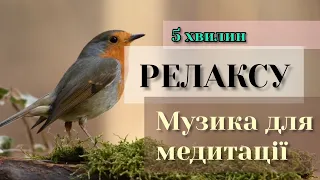 5 minutes meditation sounds of nature / Медитація під звуки природи та спів птахів