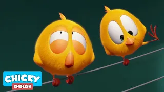 Where's Chicky? Funny Chicky 2020 | LITTLE CHICKY | Chicky Cartoon in English for Kids